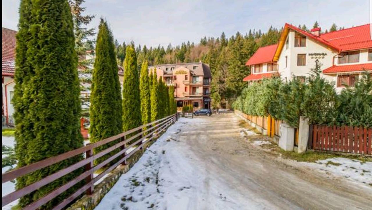 Apartament Andra Poiana Braşov Dış mekan fotoğraf